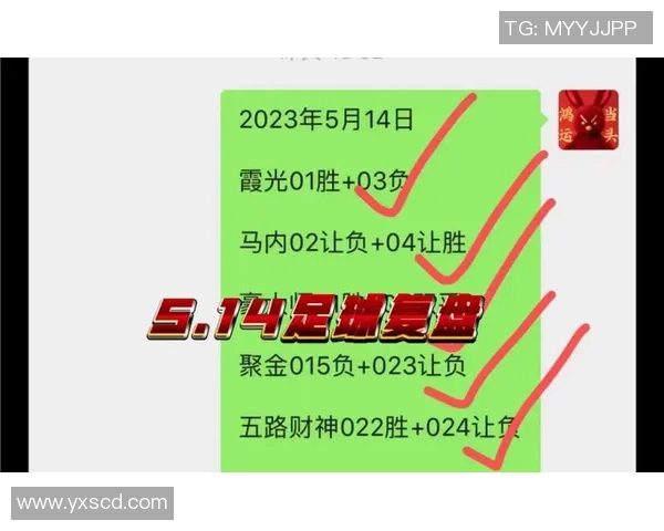 杭州足球队与深圳足球队赛后复盘实力对比分析及未来展望