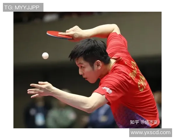 乒乓球意识排行榜揭晓上海乒乓球队荣登第七位引发关注