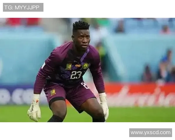 佛得角足球明星的辉煌历程与国际赛场上的精彩表现