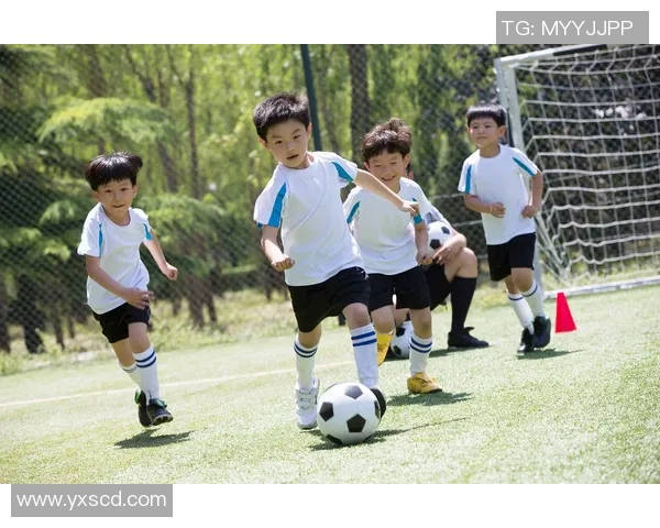 足球明星植物人状态引发关注其健康与职业生涯的未来发展探讨
